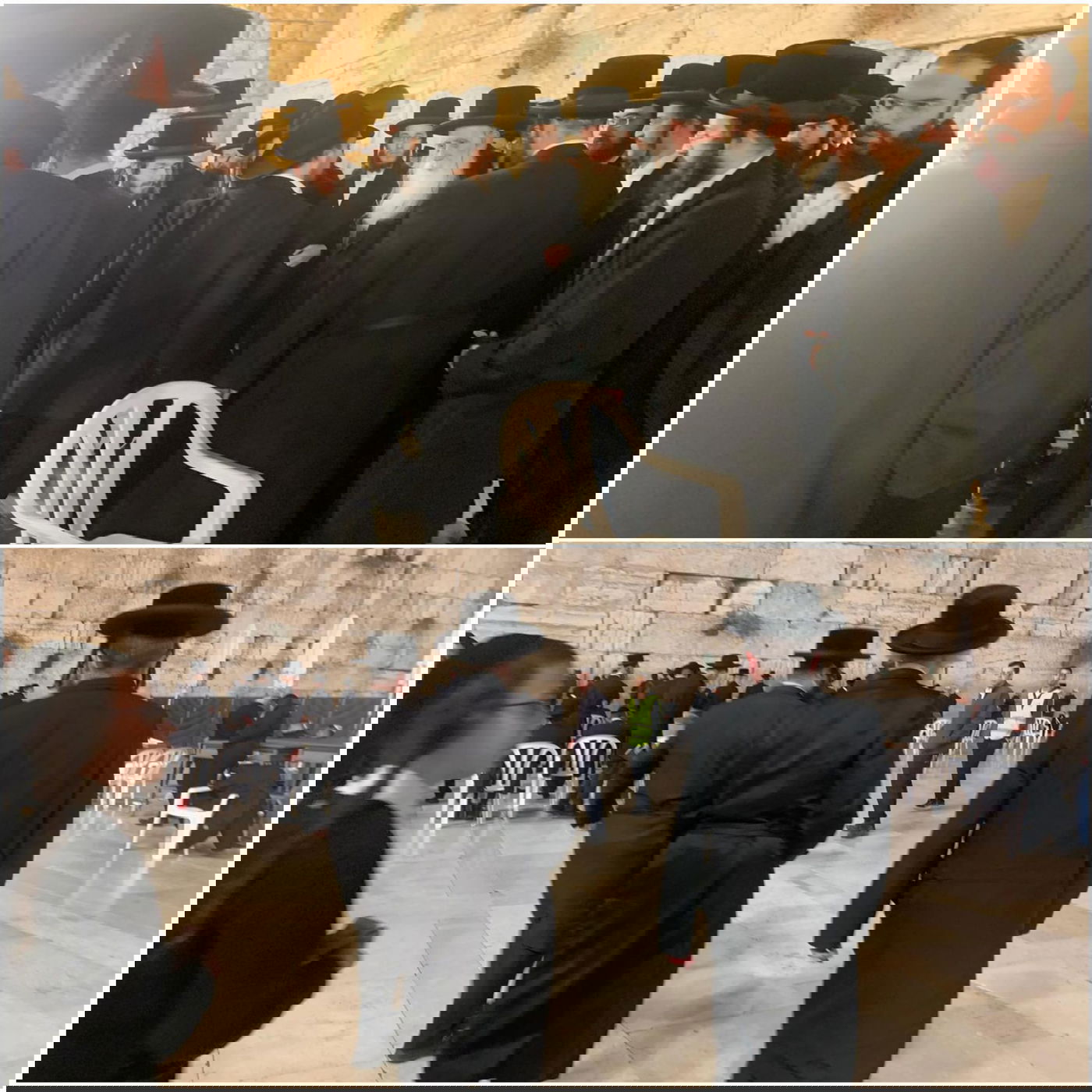 זופניק בכיכר • כל התמונות והנייעס של השבוע