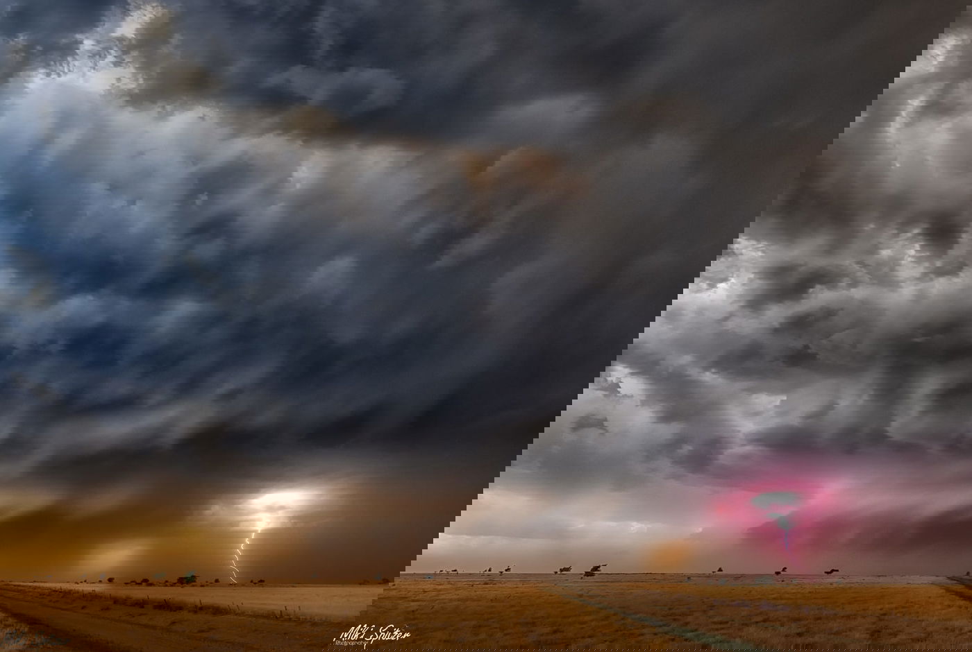 התמונה הזוכה