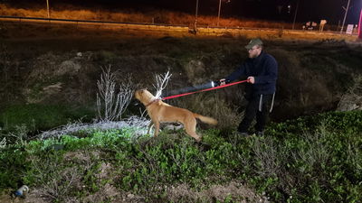 אחרי חיפושים עם כלבנים ורחפנים: הנעדר אותר בריא ושלם