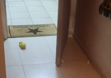 האחיין גילה: רימון צה"לי מחוץ לדלת בית כתב הפלילים