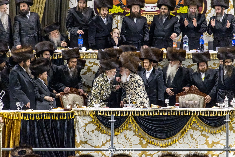 האדמו"רים מויז'ניץ ומסערט ויז'ניץ בחתונה