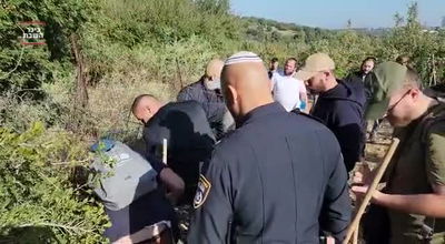 החיפושים אחר קליינרמן