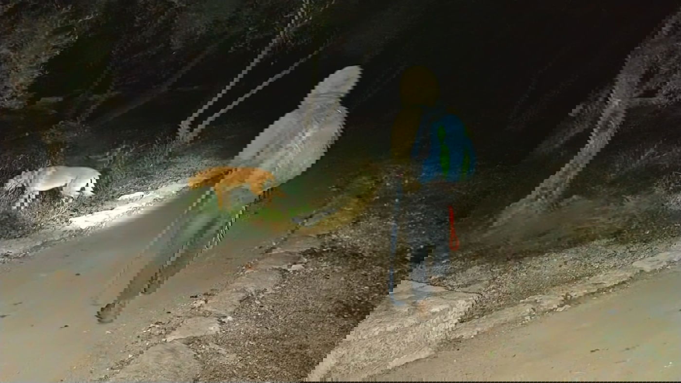 חיפושים אחר נעדר. אילוסטרציה