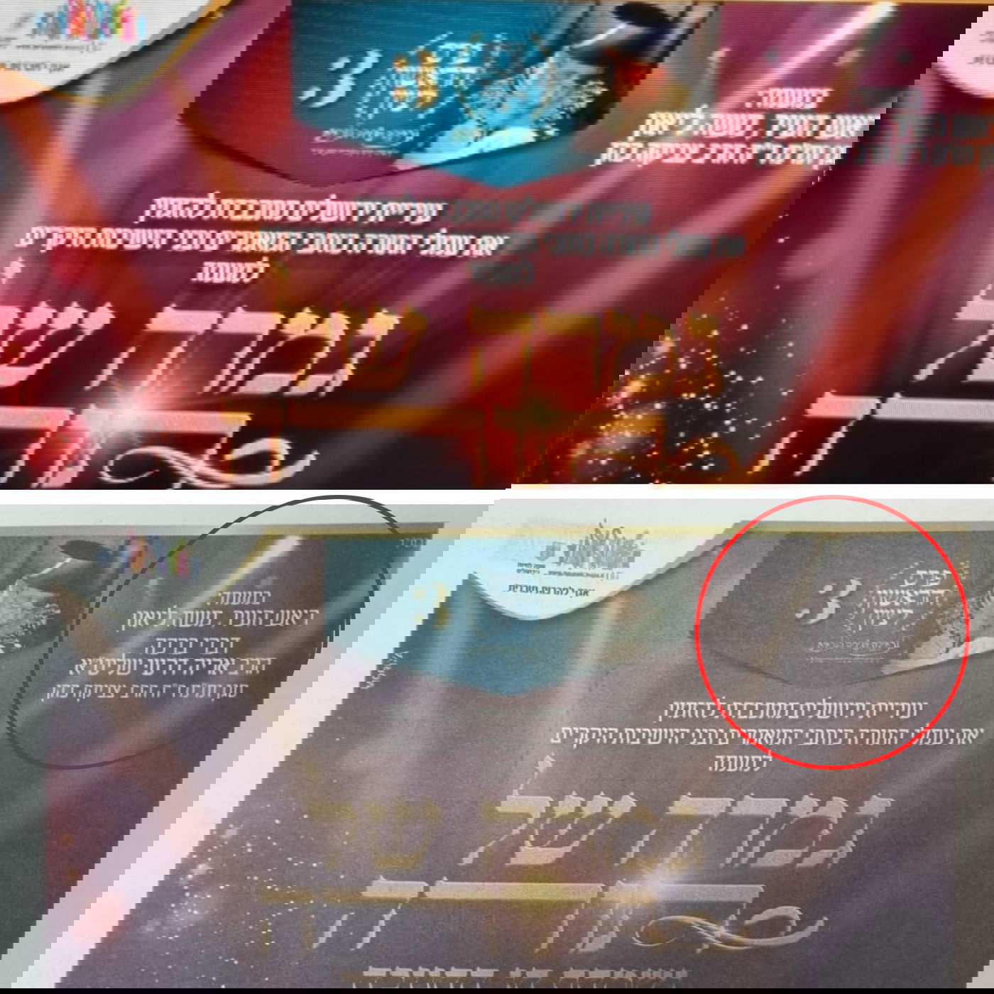 זופניק בכיכר • כל התמונות והנייעס של השבוע