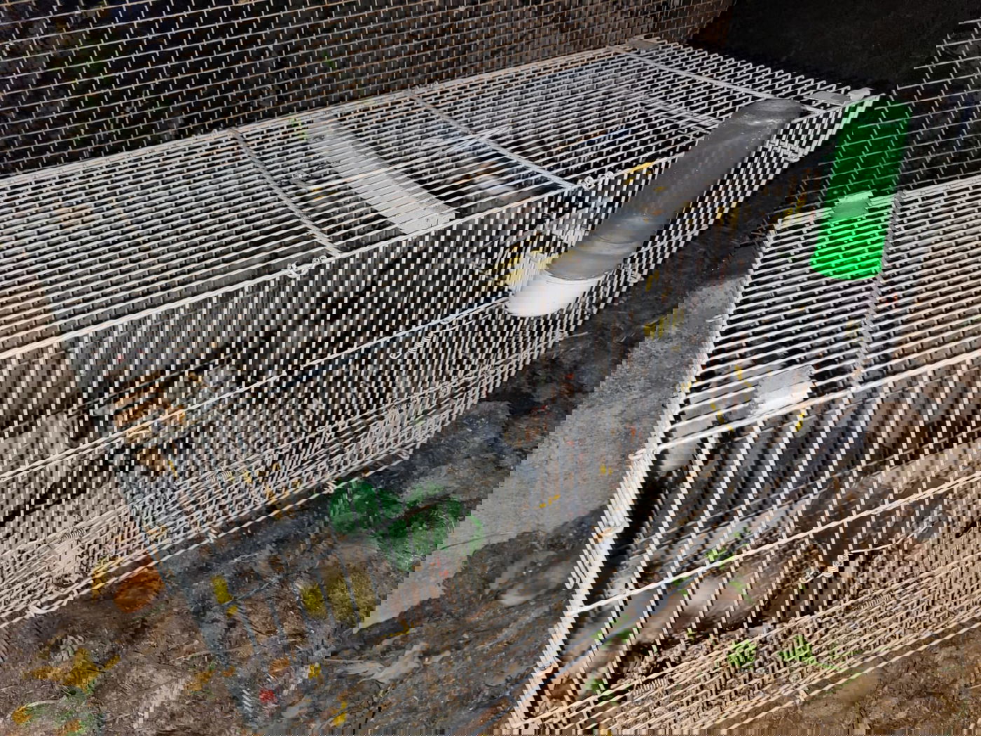 כך התגלה אתר העתיקות ההיסטורי בפשיטת משטרה