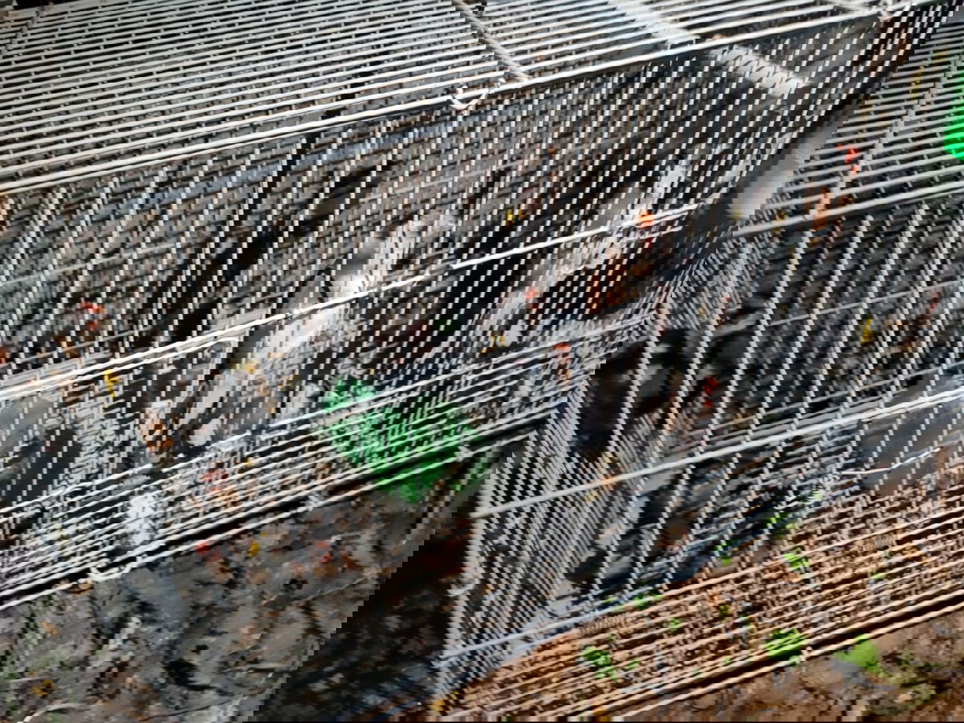 כך התגלה אתר העתיקות ההיסטורי בפשיטת משטרה