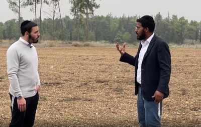 אברומי לינשה