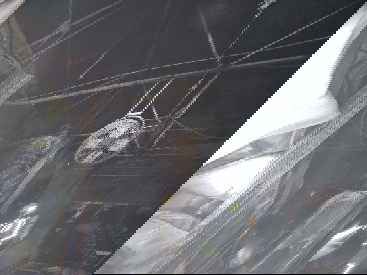 לוחמי האש הוזעקו לסייע בכיבוי האש בחוות קנאביס | תיעוד