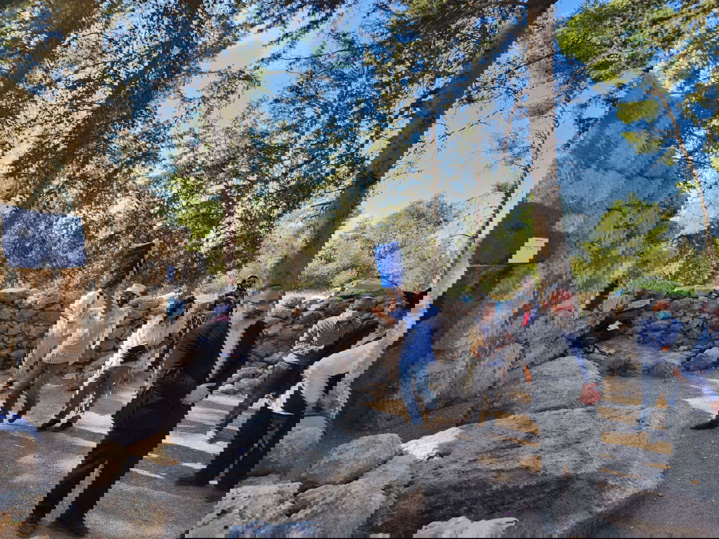 הכנסת ספר תורה למתחם 'קבר מתתיהו ובניו'