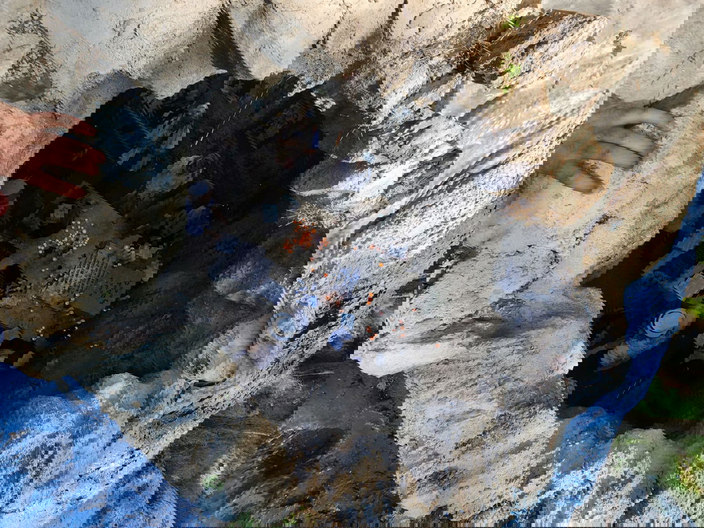 מתפללים בקבר