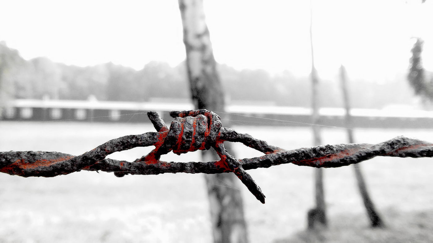 מחנה הריכוז שטוטהוף