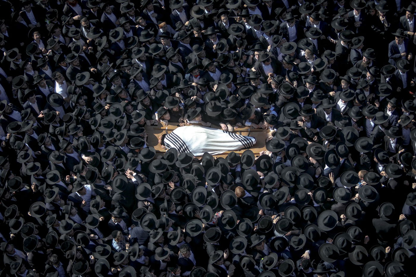 תמונתו של גולדברג בתערוכה