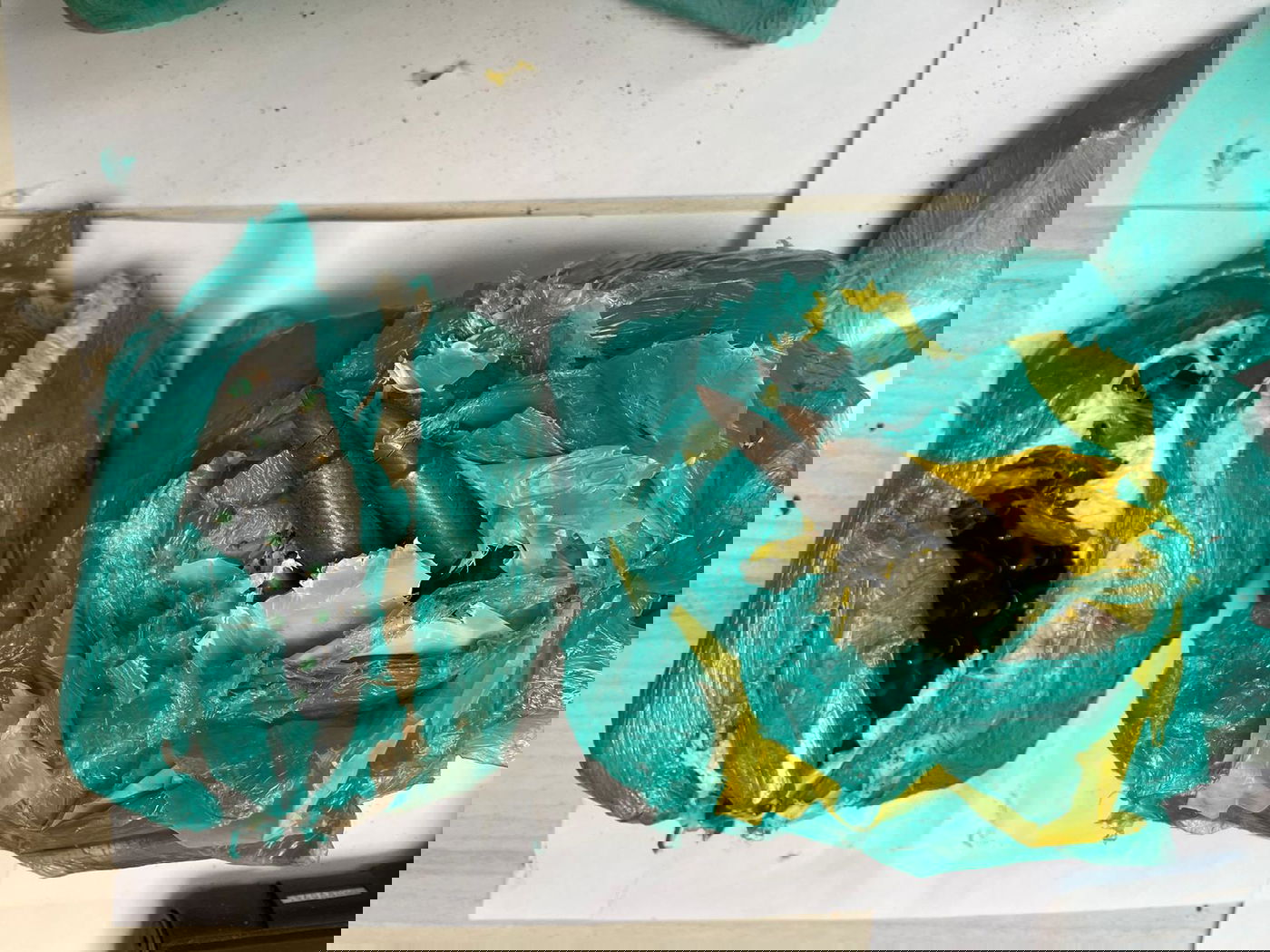 היו קבורים באדמה: תפיסת ענק של סמים בלוד | תיעוד