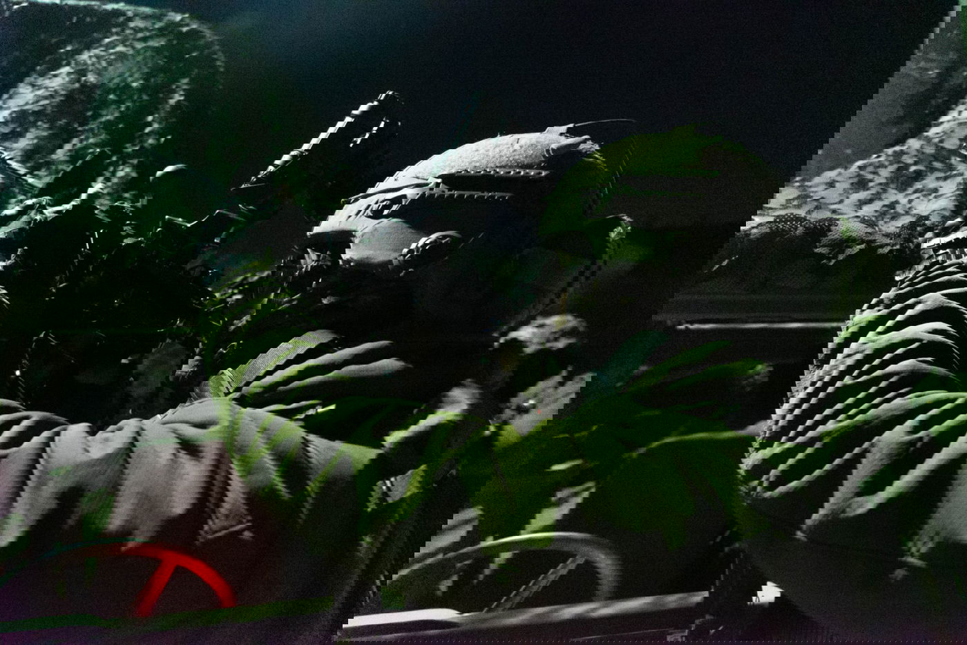 בפעילות לילית: עשרה מבוקשים נעצרו | תיעוד