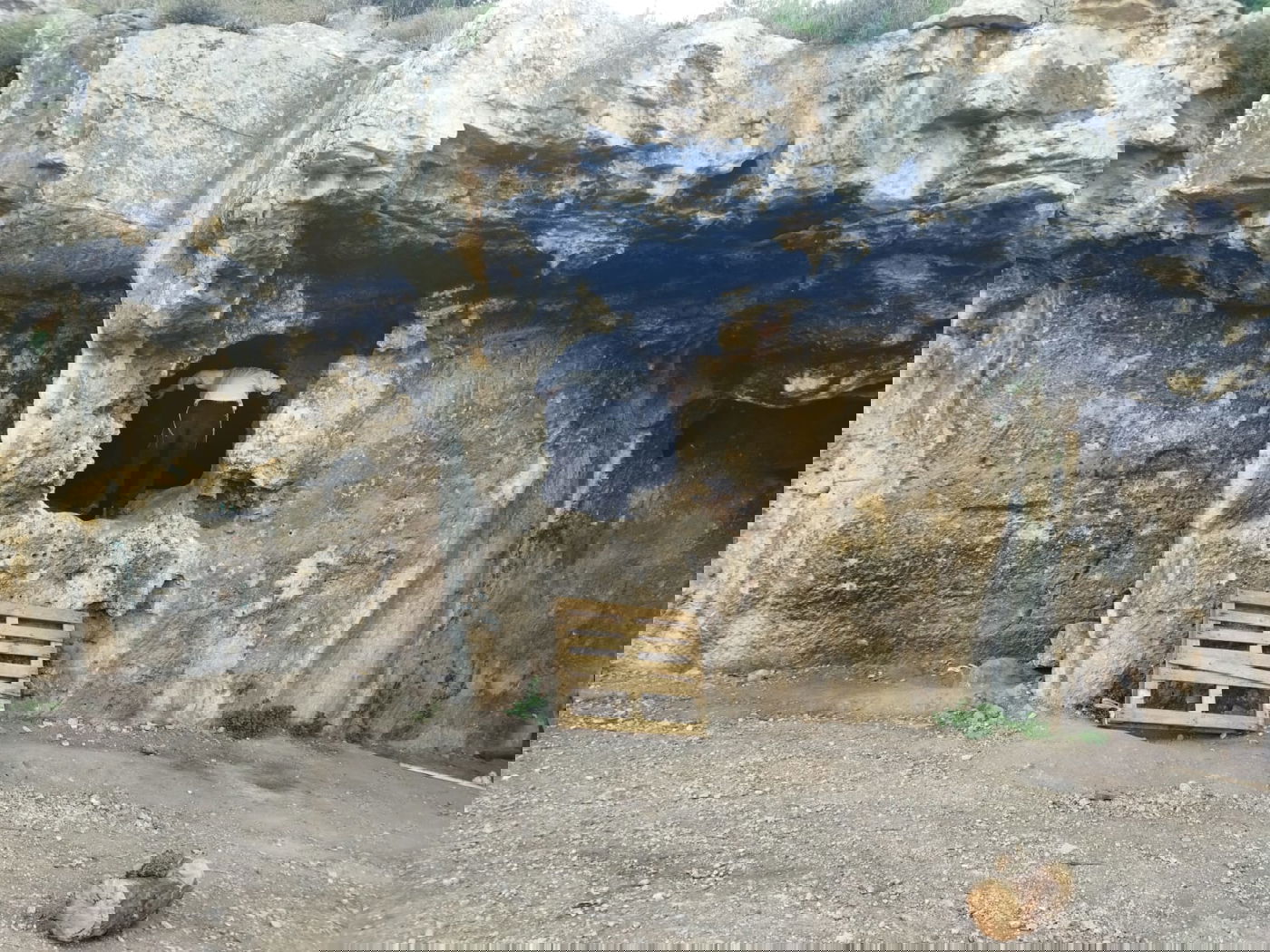 מבקרים במערת הנזירים - מערת רשב"י, השבוע