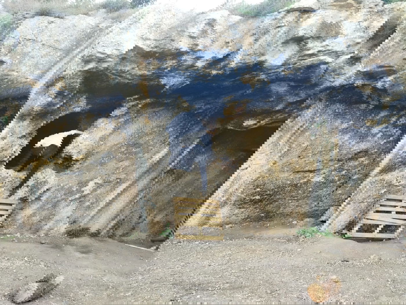 מבקרים במערת הנזירים - מערת רשב"י, השבוע