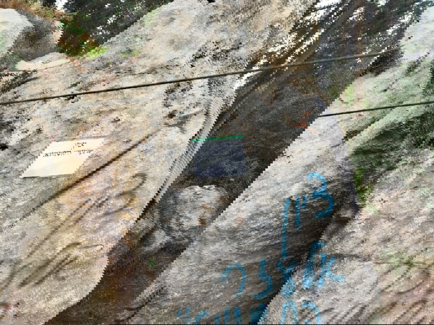 הפתעה: אברך ליטאי לבוש 'פראק' בקבר מתתיהו • סיור מצולם