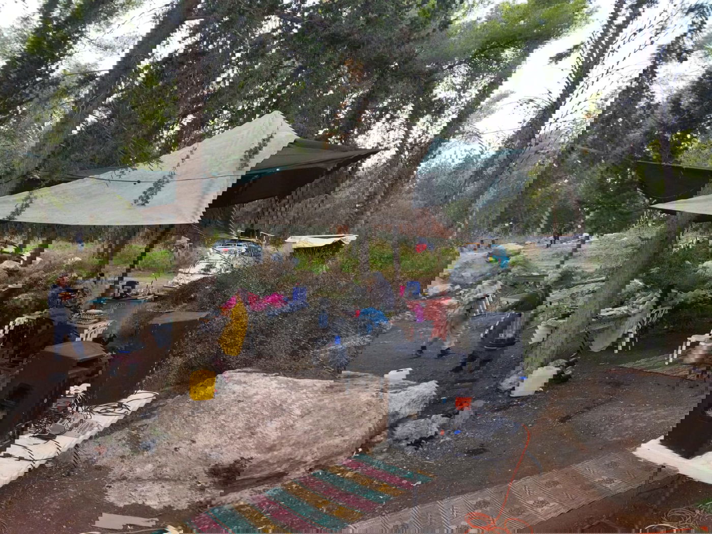 הפתעה: אברך ליטאי לבוש 'פראק' בקבר מתתיהו • סיור מצולם