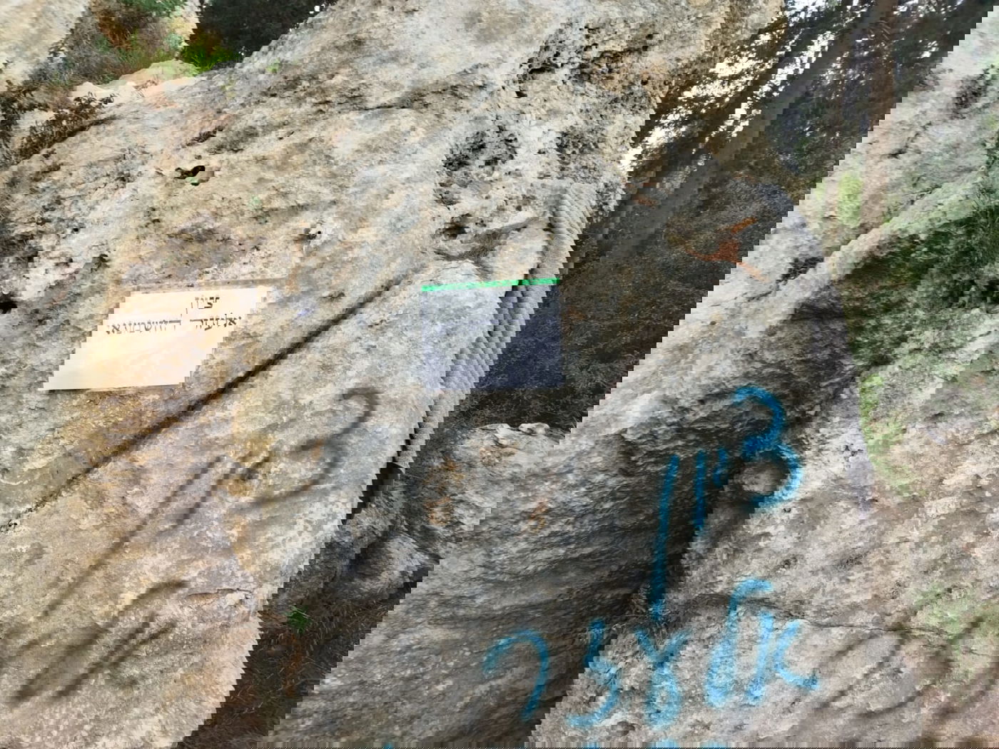 הפתעה: אברך ליטאי לבוש 'פראק' בקבר מתתיהו • סיור מצולם