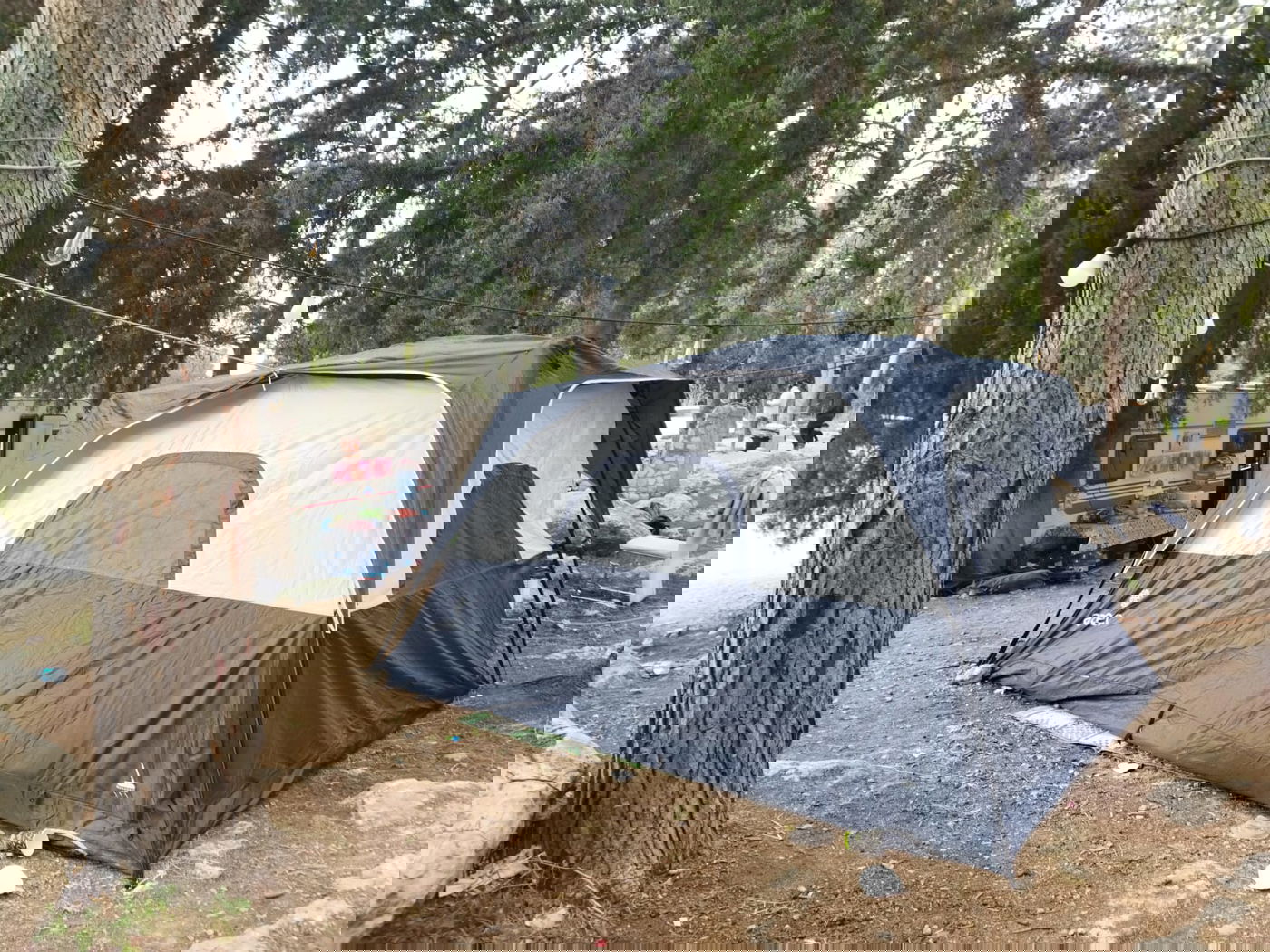 הפתעה: אברך ליטאי לבוש 'פראק' בקבר מתתיהו • סיור מצולם