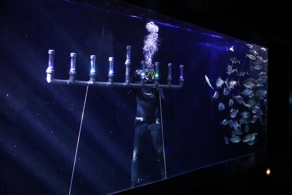 ליד הדגים: החנוכיה שבתוך האקווריום הענק • תיעוד