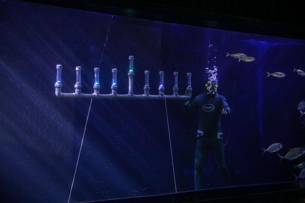 ליד הדגים: החנוכיה שבתוך האקווריום הענק • תיעוד