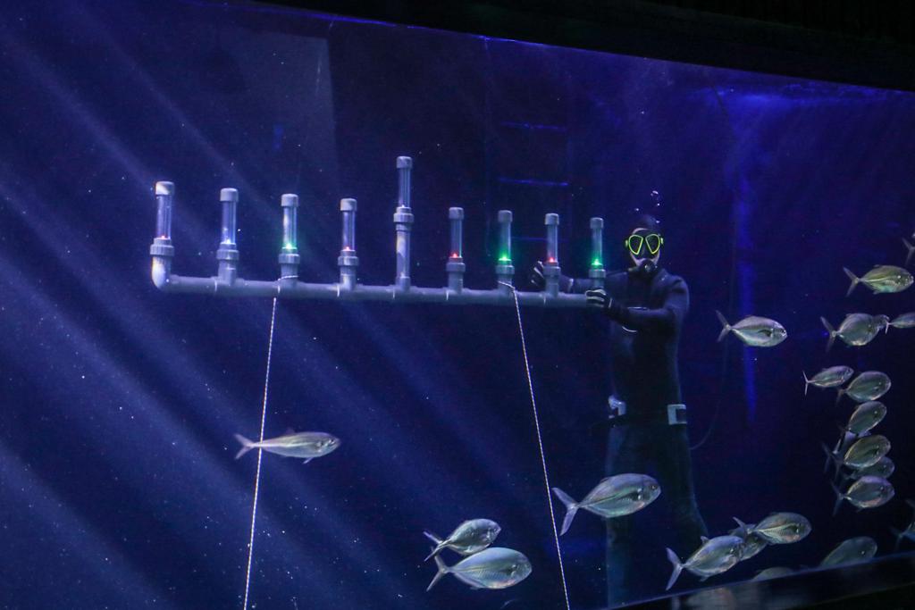 ליד הדגים: החנוכיה שבתוך האקווריום הענק • תיעוד