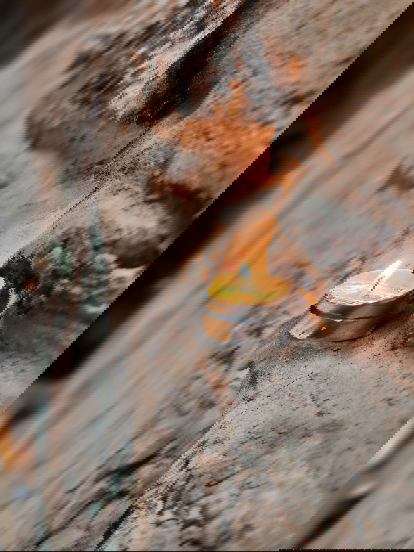 נשים בוכות ב'נשמת', גברים רוקדים ב'תיקון הכללי' | תיעוד מדליק