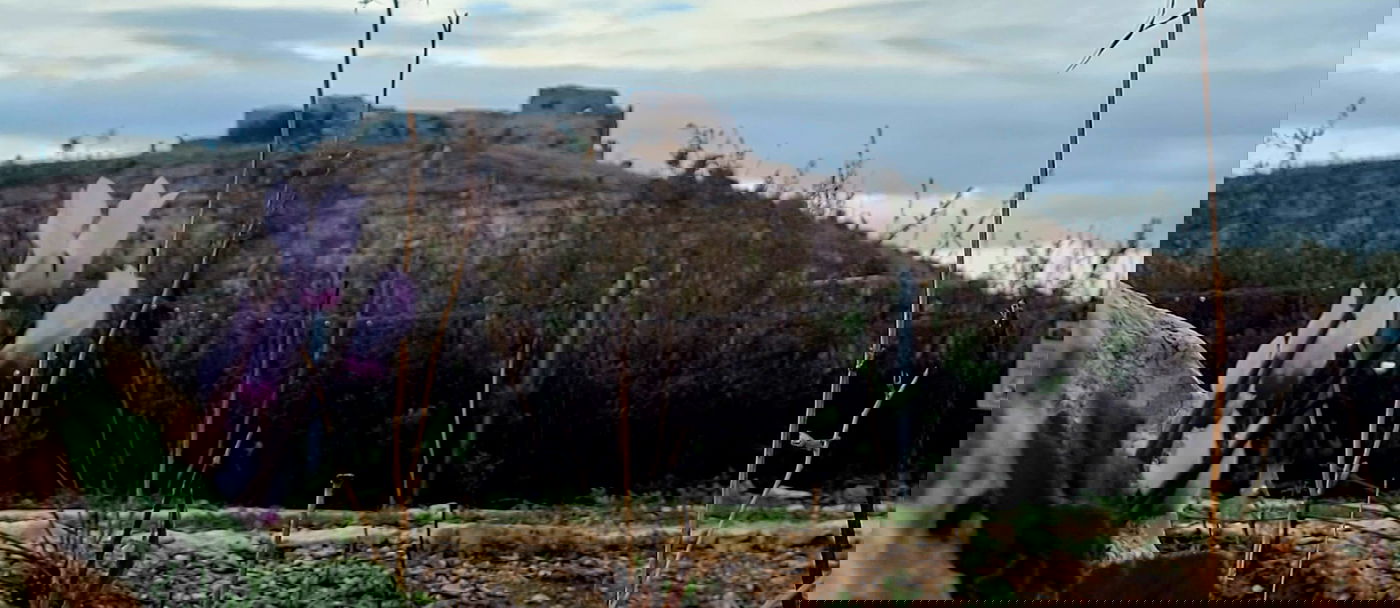 בריכות החורף התמלאו בגן הלאומי מגדל צדק