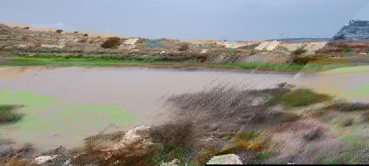 בריכות החורף התמלאו בגן הלאומי מגדל צדק
