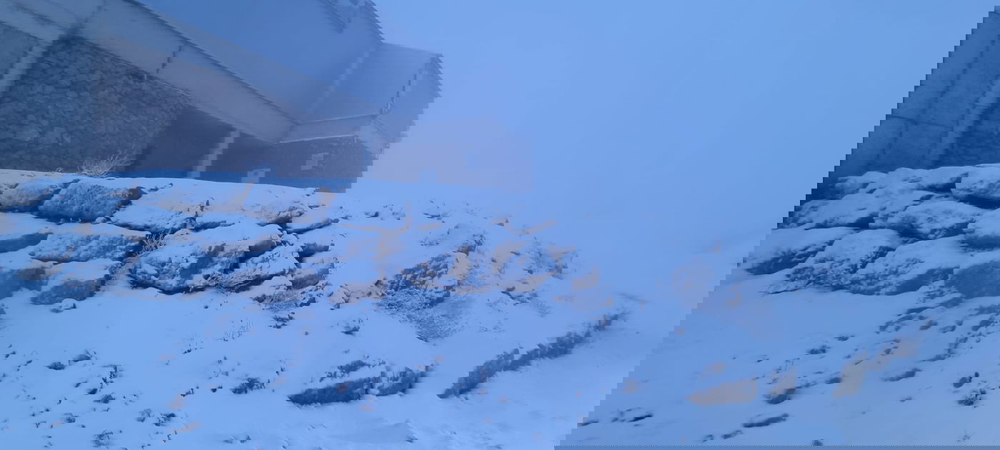 תיעוד מרהיב: שלג ראשון יורד ומכסה בלבן את הרי החרמון