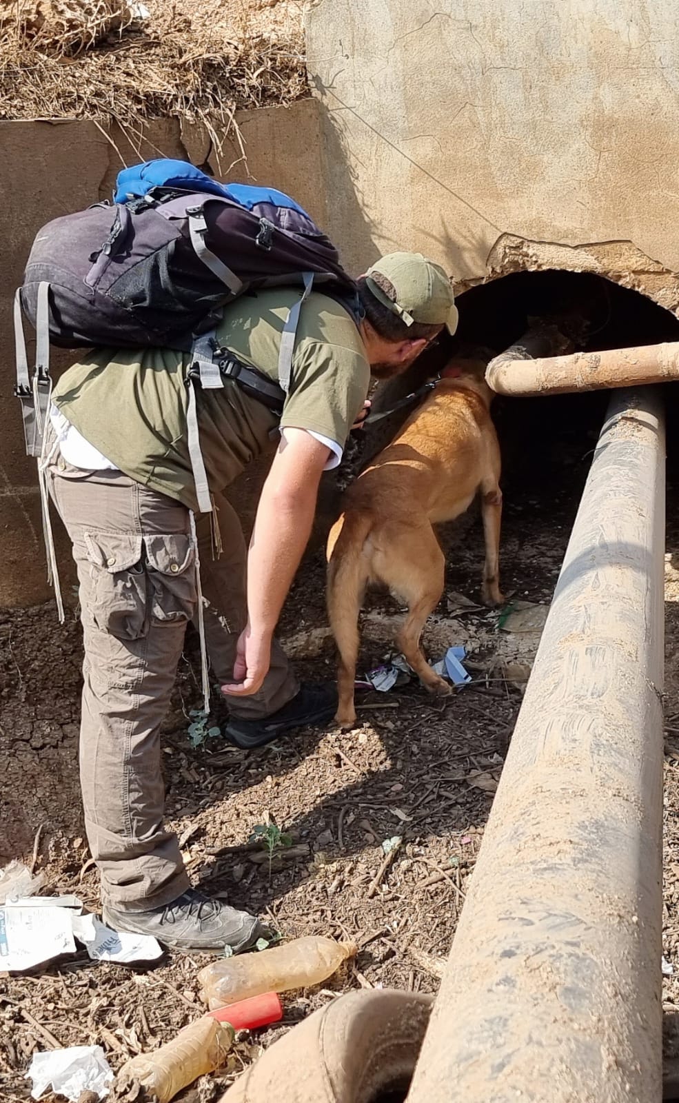 החיפושים אחר שלושת הנעדרים