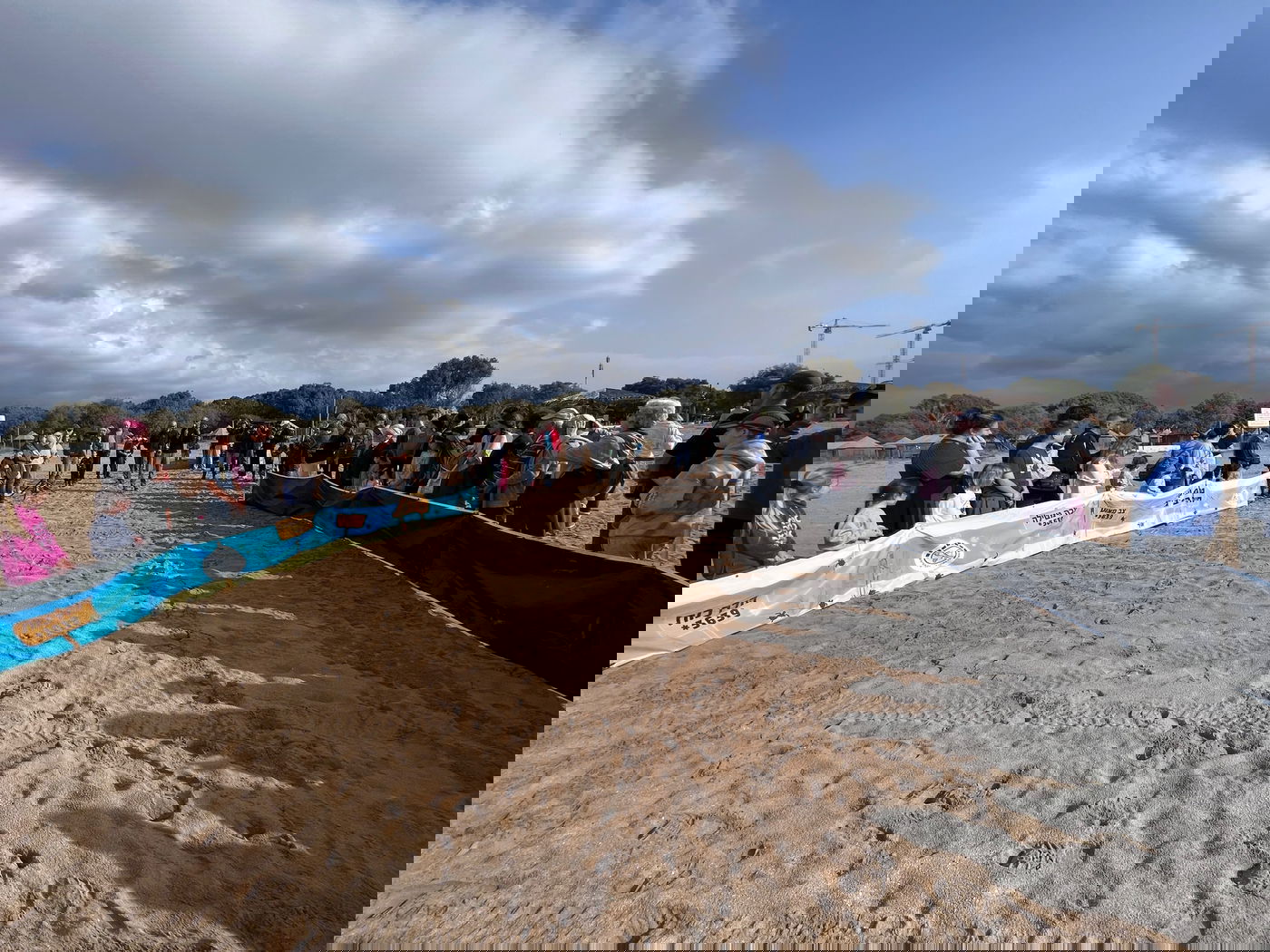 חמישה צבי ים עברו שיקום והוחזרו לחוף בננה ביץ' | צפו