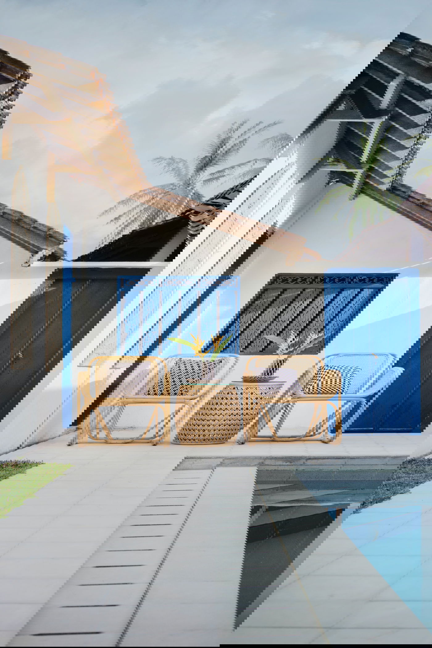 גם אתם יכולים: 3 טרנדים שכל העשירים מכורים אליהם