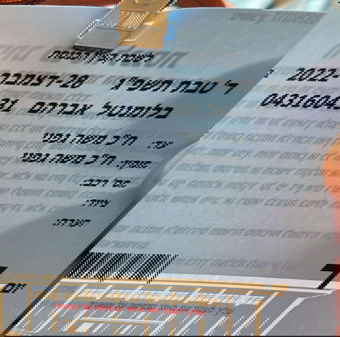 זופניק בכיכר • כל התמונות והנייעס של השבוע