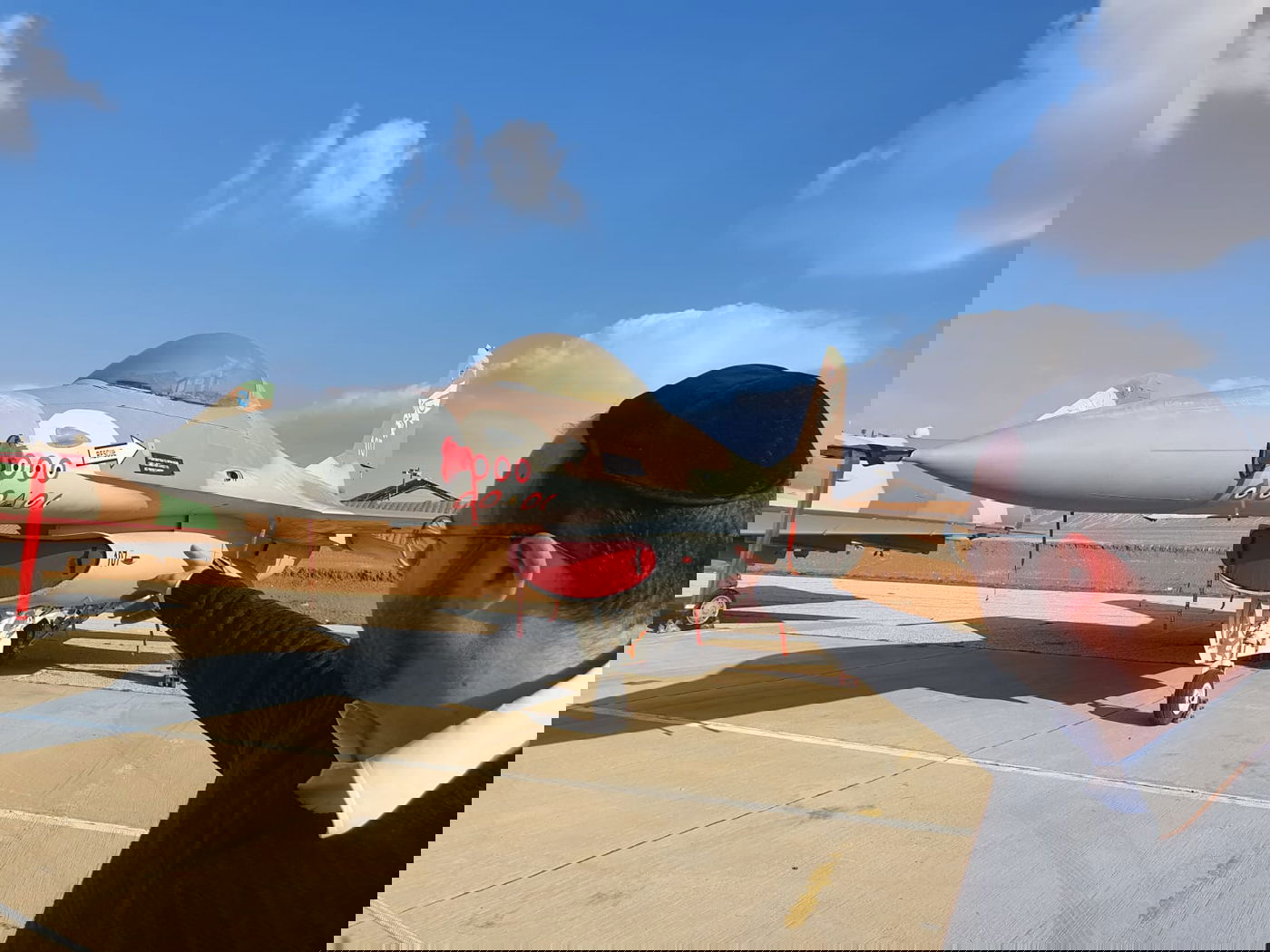 זופניק בכיכר • כל התמונות והנייעס של השבוע