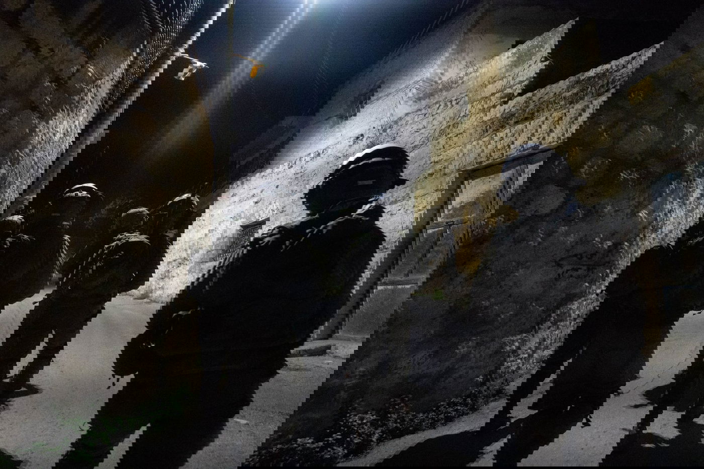 עשרה מבוקשים ולמעלה מ-20 רכבים נתפסו הלילה ביו"ש