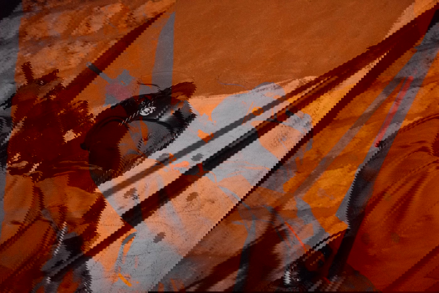 עשרה מבוקשים ולמעלה מ-20 רכבים נתפסו הלילה ביו"ש