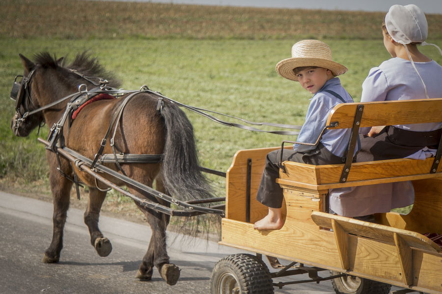 חברי כת האמיש