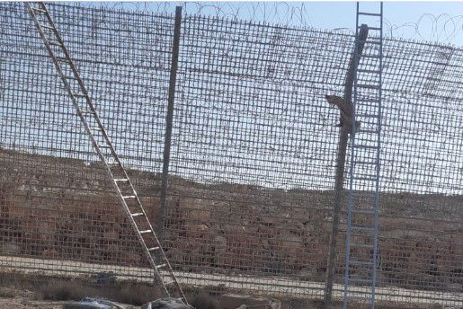 אילוסטרציה