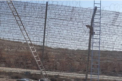 אילוסטרציה