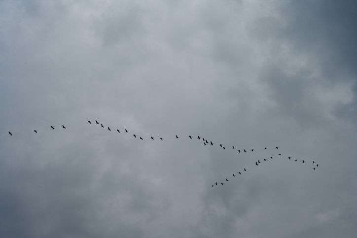 התחזית: יתכן אובך, גשמים מקומיים בעיקר במזרח הארץ