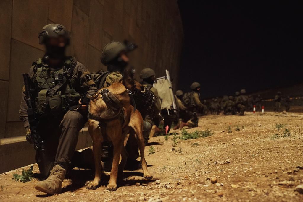 שמונה מבוקשים נעצרו הלילה; צה"ל מצמצם כוחות ביהודה ושומרון