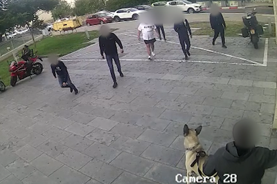 חברי הכנופייה מג'לג'וליה היכו את הקורבן וכלבו | תיעוד מחריד