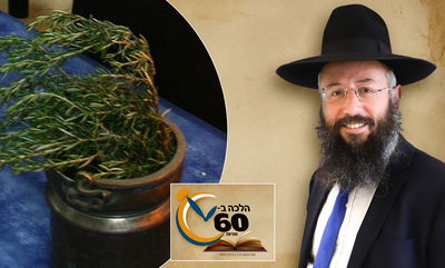 האם יכול לברך ברכת הריח על ריח שאינו אוהב? • צפו