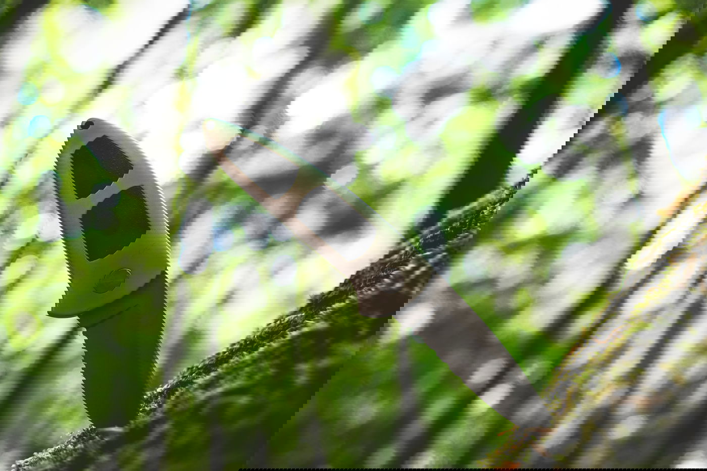 אילוסטרציה