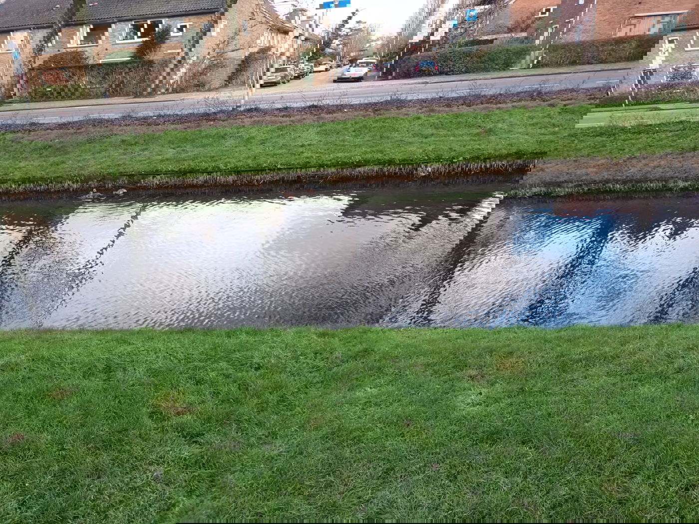 מדרכה. דשא, תעלת מים, דשא, כביש, מדרכה. גן עדן