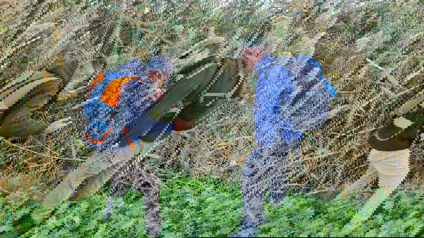 החיפושים אחר קליינרמן, היום