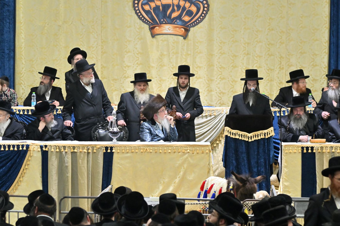מעמד פטר חמור ברובע החרדי בראשות הרבי ממעליץ | צפו