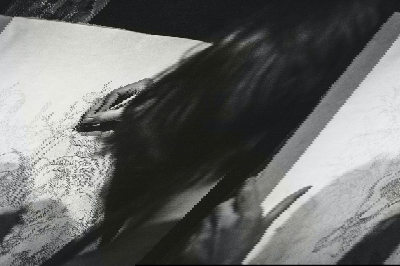 האם הסמינרים יוכלו ללמד 'טיפול באומנויות' - במקום המל"ג? יצאנו לבדוק